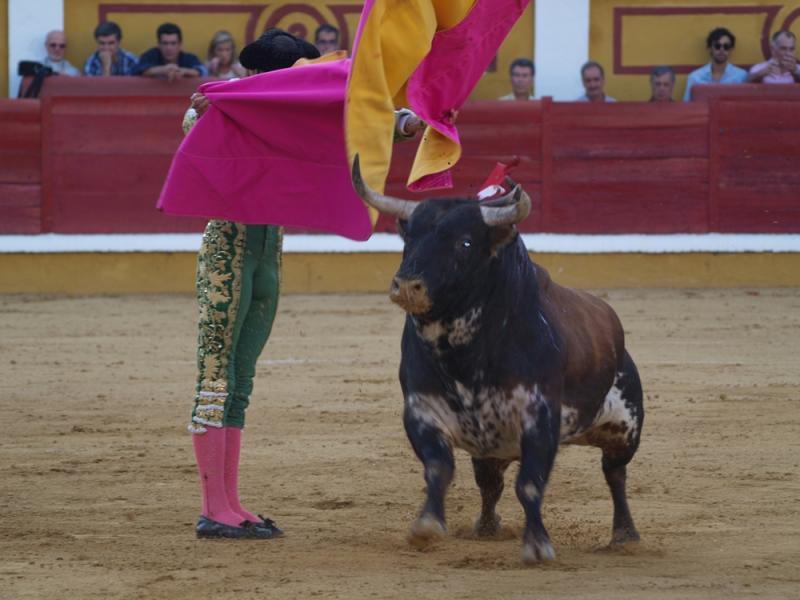 Imágenes de Campos, Morante, El Juli y Perera en la segunda de Feria de Badajoz