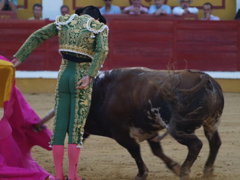 Imágenes de Campos, Morante, El Juli y Perera en la segunda de Feria de Badajoz