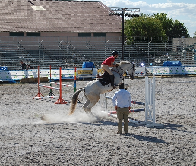 Primeros campeonatos y exhibiciones en Ecuextre 2014