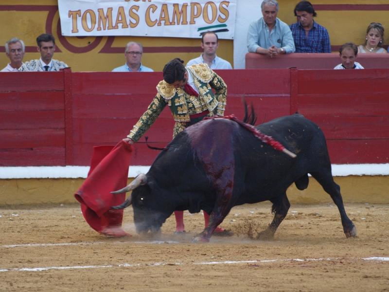 Imágenes de Campos, Morante, El Juli y Perera en la segunda de Feria de Badajoz