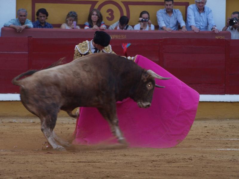 Imágenes de Campos, Morante, El Juli y Perera en la segunda de Feria de Badajoz