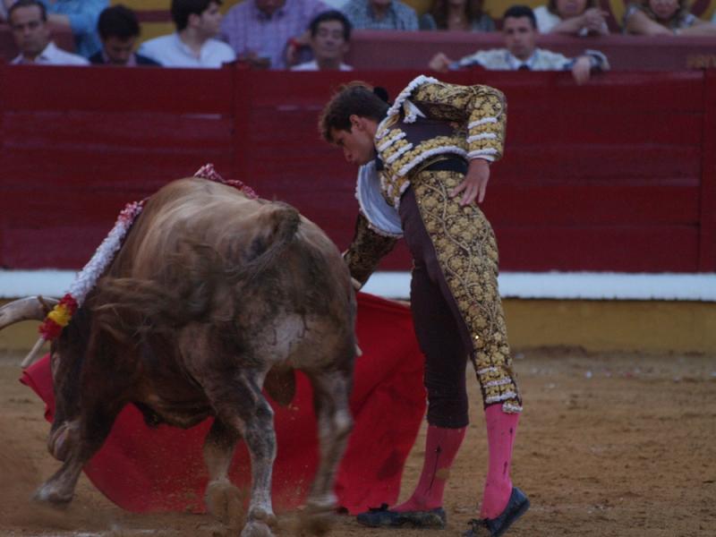 Imágenes de Campos, Morante, El Juli y Perera en la segunda de Feria de Badajoz