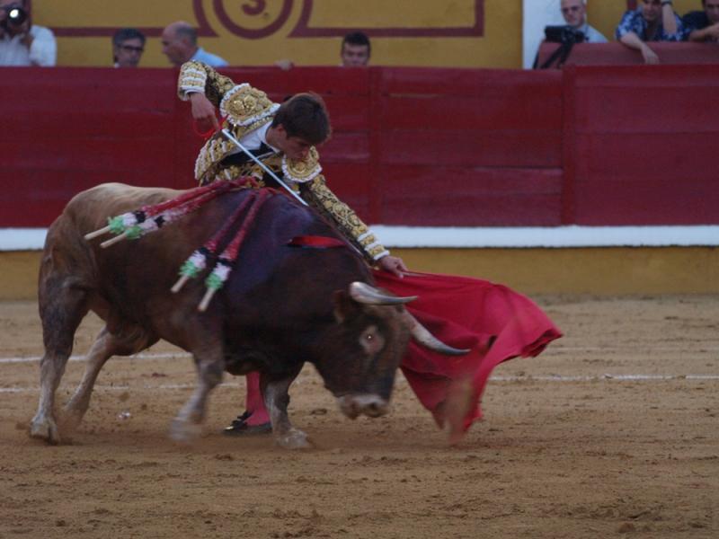 Imágenes de Campos, Morante, El Juli y Perera en la segunda de Feria de Badajoz