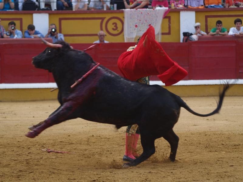 Imágenes de la Novillada de San Juan con José Garrido, Ginés Marín y Fernando Flores