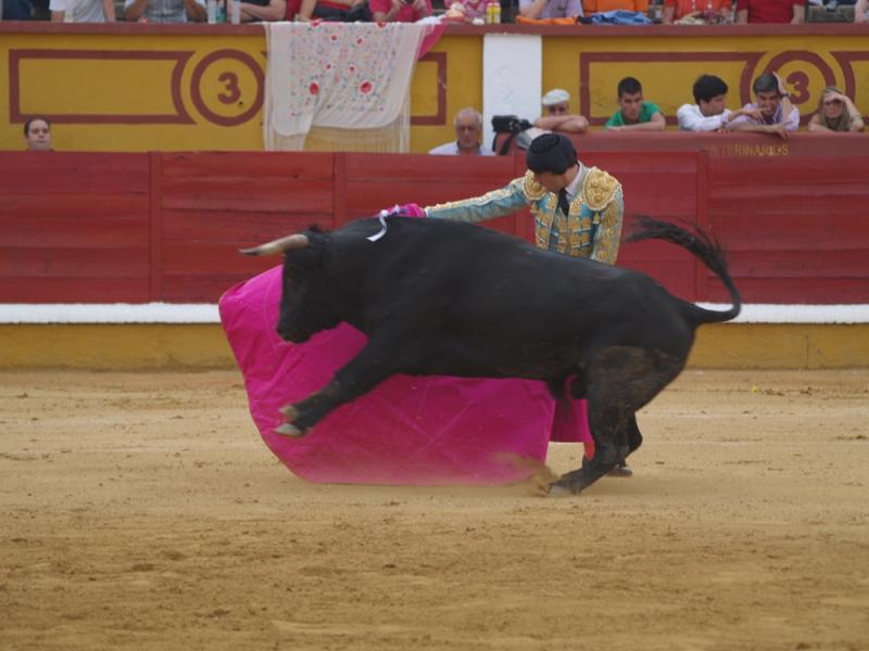 Imágenes de la Novillada de San Juan con José Garrido, Ginés Marín y Fernando Flores