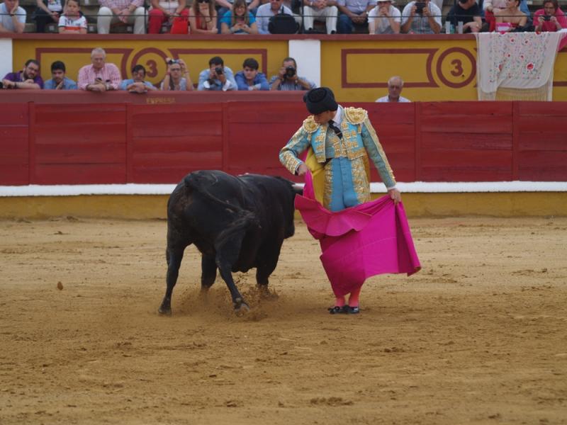 Imágenes de la Novillada de San Juan con José Garrido, Ginés Marín y Fernando Flores