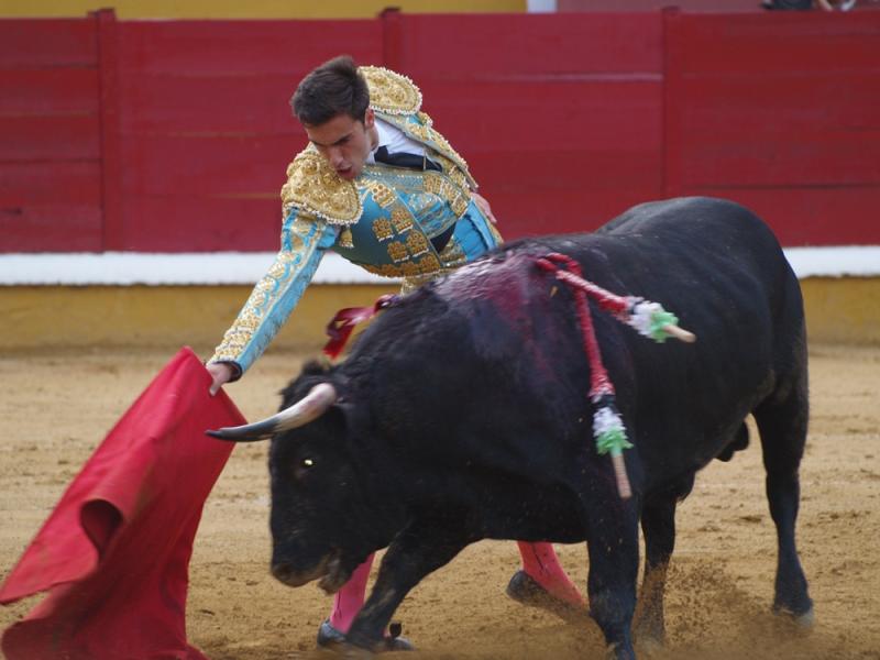 Imágenes de la Novillada de San Juan con José Garrido, Ginés Marín y Fernando Flores