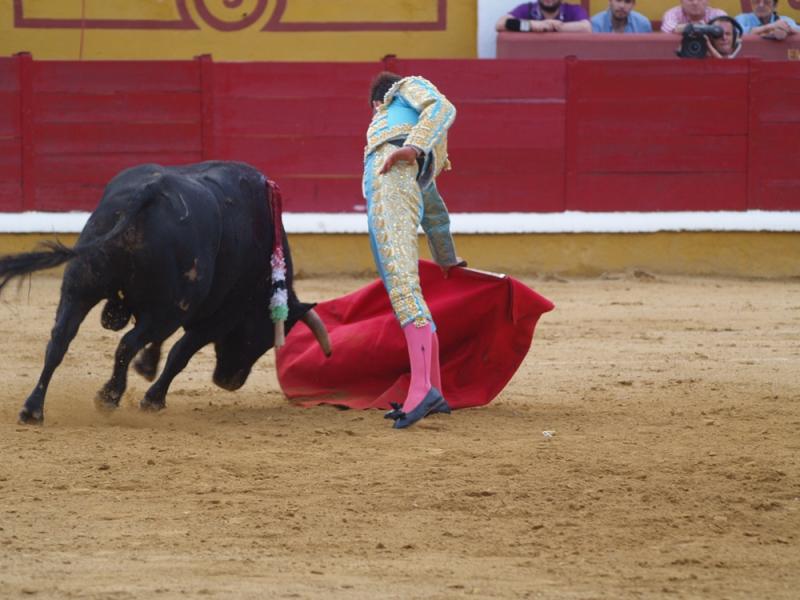 Imágenes de la Novillada de San Juan con José Garrido, Ginés Marín y Fernando Flores