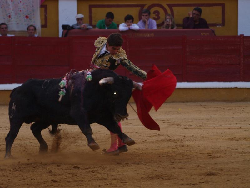 Imágenes de la Novillada de San Juan con José Garrido, Ginés Marín y Fernando Flores