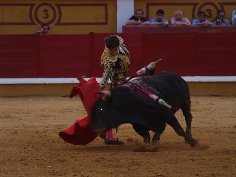 Imágenes de la Novillada de San Juan con José Garrido, Ginés Marín y Fernando Flores