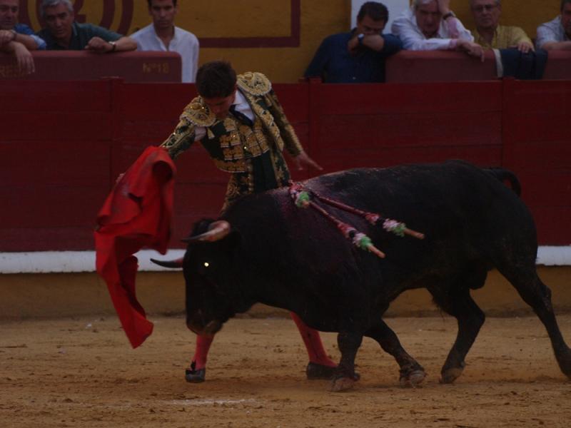 Imágenes de la Novillada de San Juan con José Garrido, Ginés Marín y Fernando Flores