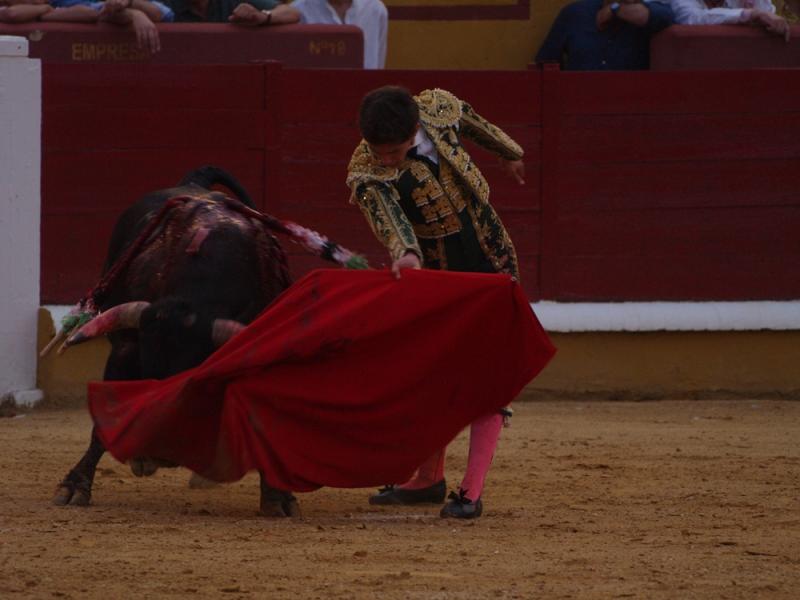 Imágenes de la Novillada de San Juan con José Garrido, Ginés Marín y Fernando Flores