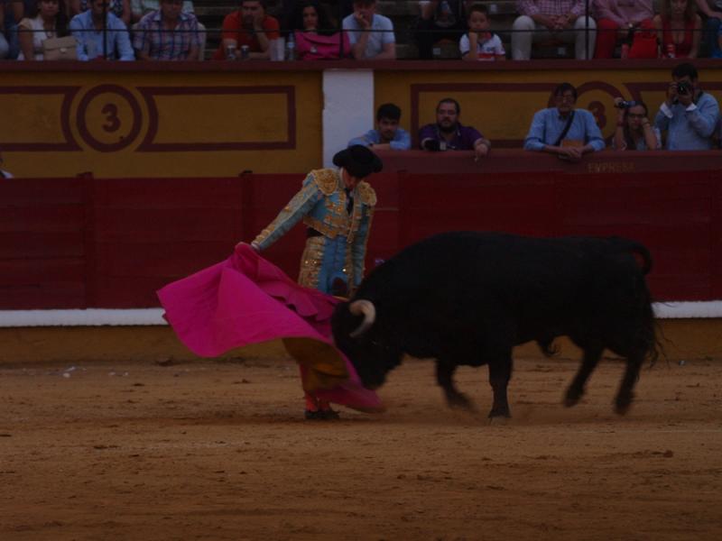 Imágenes de la Novillada de San Juan con José Garrido, Ginés Marín y Fernando Flores