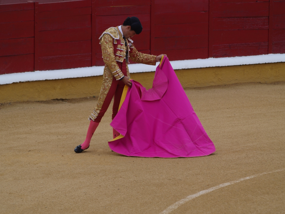 Imágenes de la primera corrida de la Feria de San Juan 2014