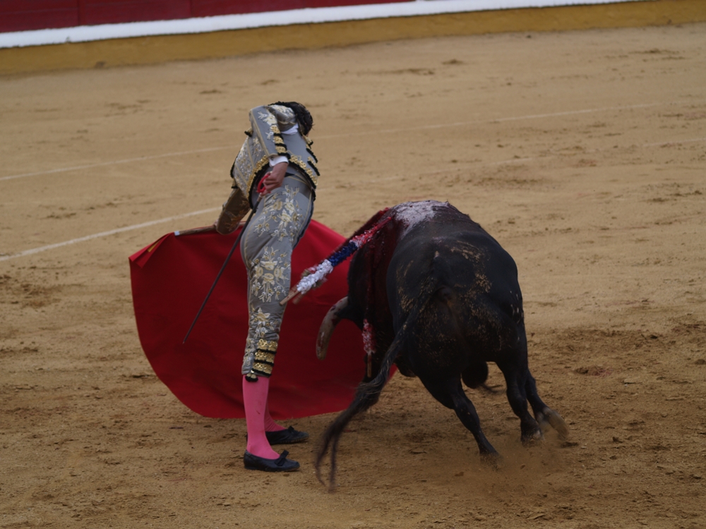 Imágenes de la primera corrida de la Feria de San Juan 2014