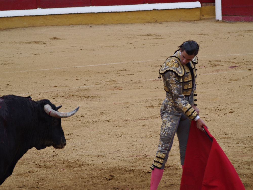 Imágenes de la primera corrida de la Feria de San Juan 2014