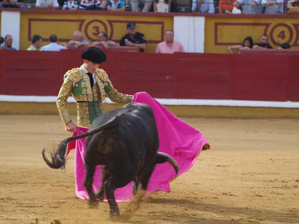 Imágenes de la Novillada de San Juan con José Garrido, Ginés Marín y Fernando Flores