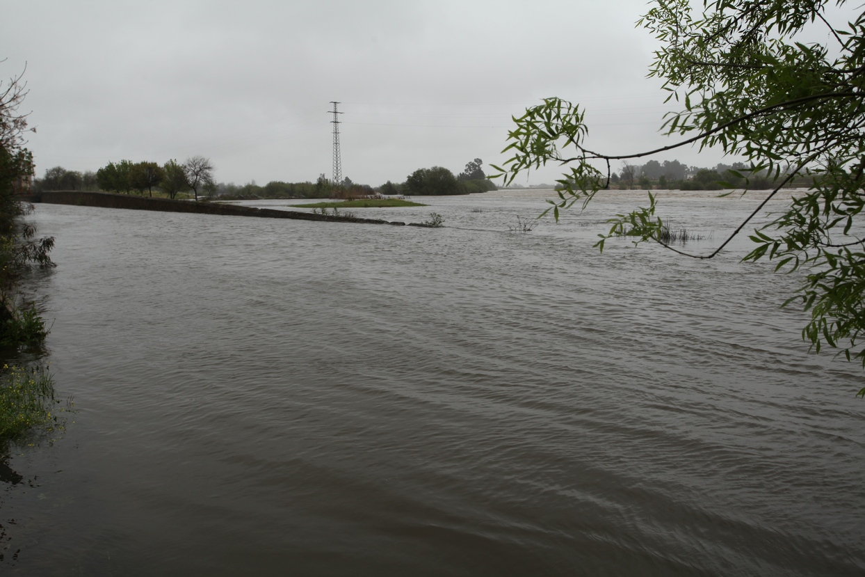 Crecida del río Guadiana a su paso por Badajoz