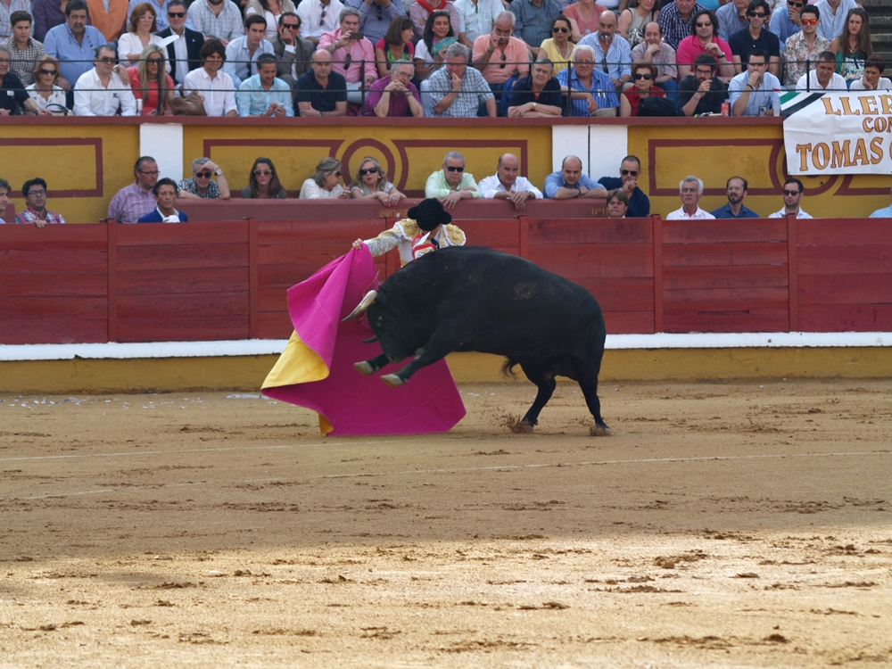 Imágenes de Campos, Morante, El Juli y Perera en la segunda de Feria de Badajoz