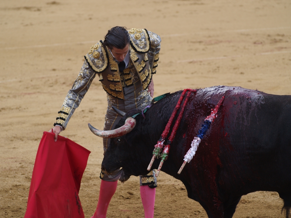 Imágenes de la primera corrida de la Feria de San Juan 2014