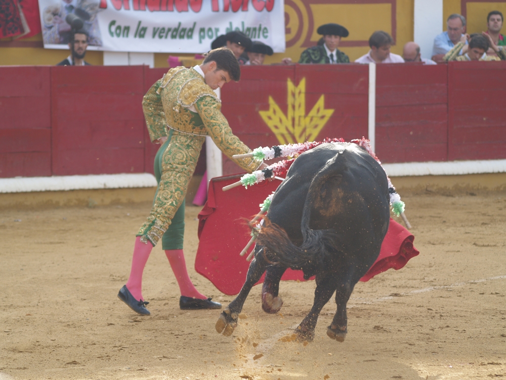 Imágenes de la Novillada de San Juan con José Garrido, Ginés Marín y Fernando Flores