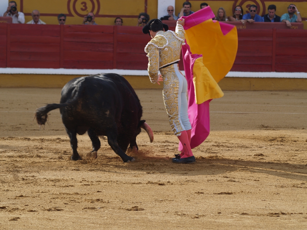 Imágenes de Campos, Morante, El Juli y Perera en la segunda de Feria de Badajoz