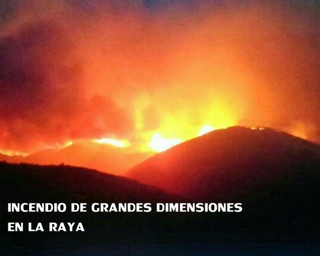 Noticias del año 2014 en Extremadura - segundo semestre - Parte 2