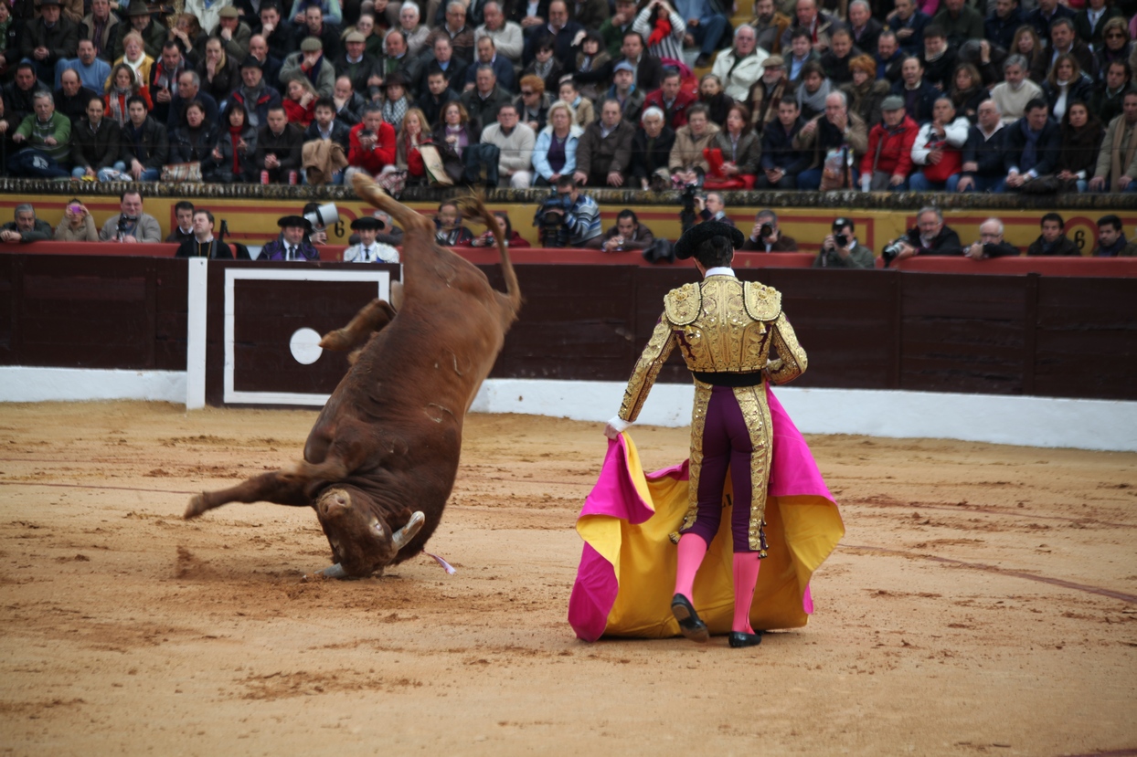 Reportaje fotográfico de la corrida de El Juli, Perera y Padilla en Olivenza