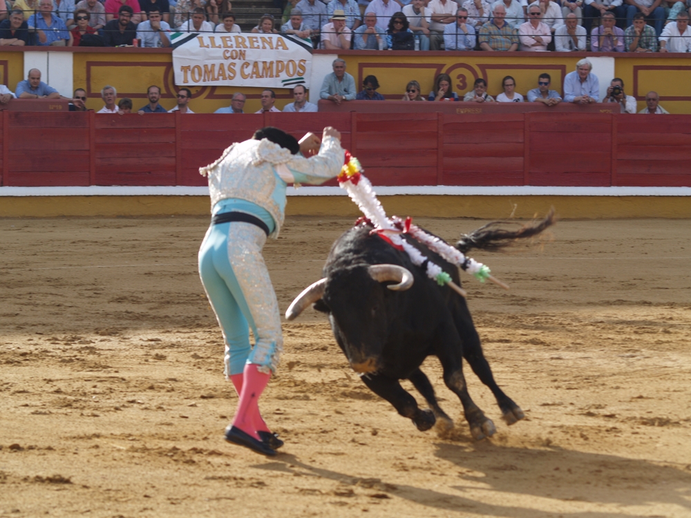 Imágenes de Campos, Morante, El Juli y Perera en la segunda de Feria de Badajoz