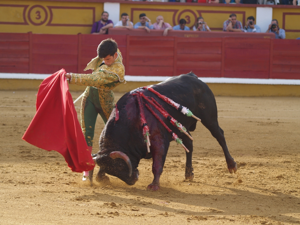 Imágenes de la Novillada de San Juan con José Garrido, Ginés Marín y Fernando Flores