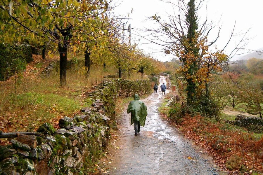 El Valle del Ambroz celebrará su 17º Otoño Mágico