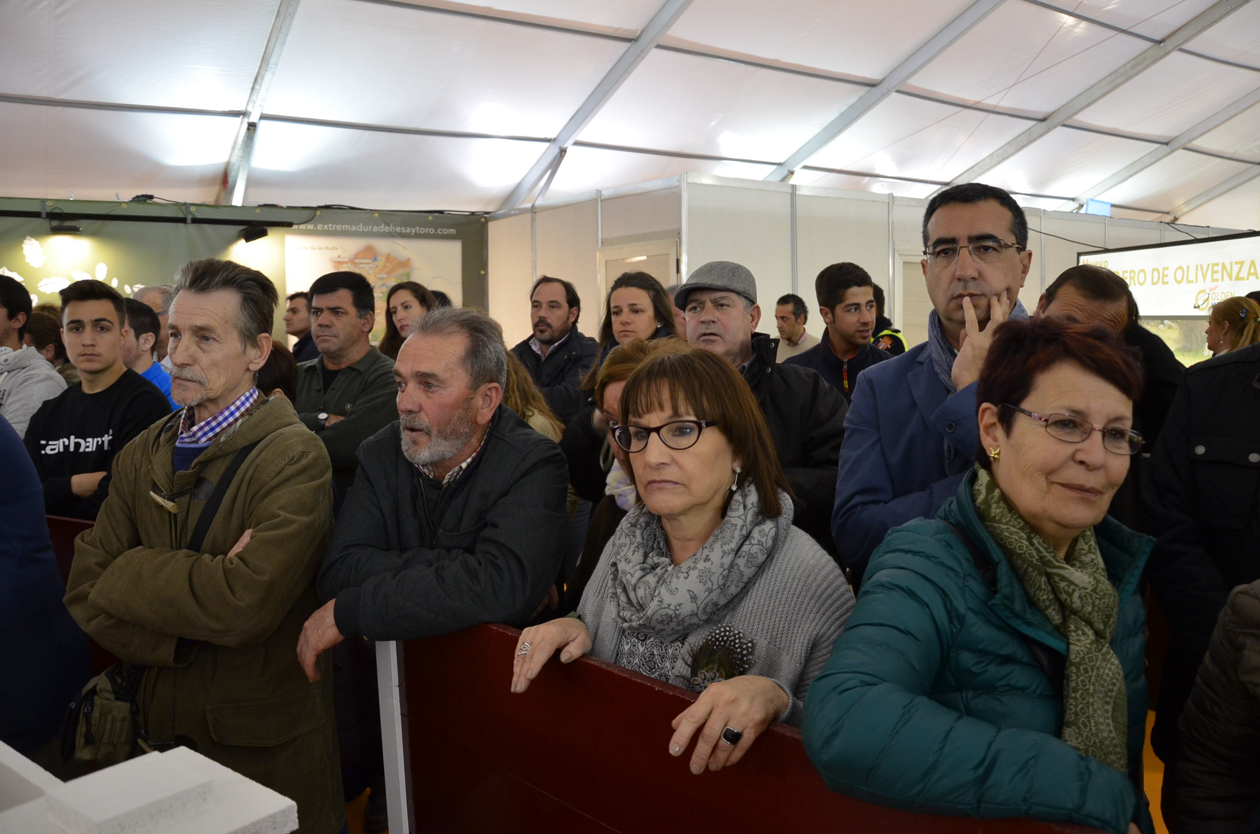 Arranca la 25ª edición de la Feria del Toro de Olivenza