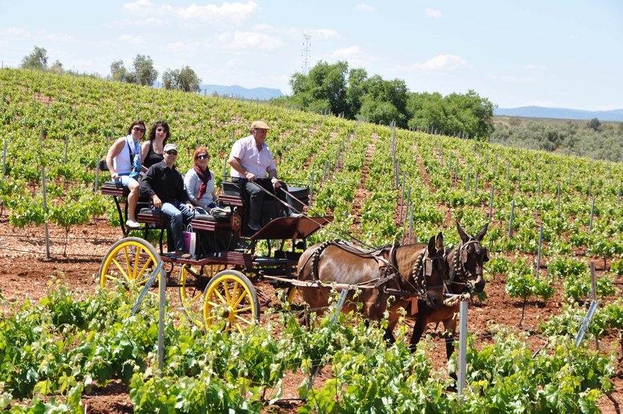 Conoce Extremadura a través del vino Ribera del Guadiana