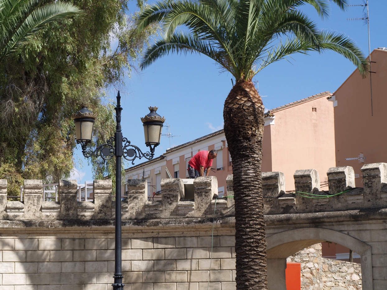 Badajoz se prepara para la visita de la Reina Sofía