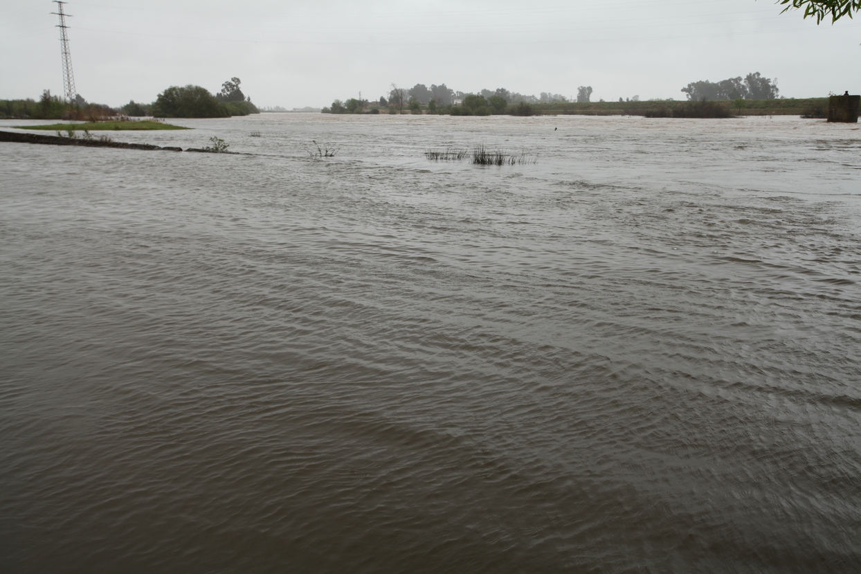 Crecida del río Guadiana a su paso por Badajoz