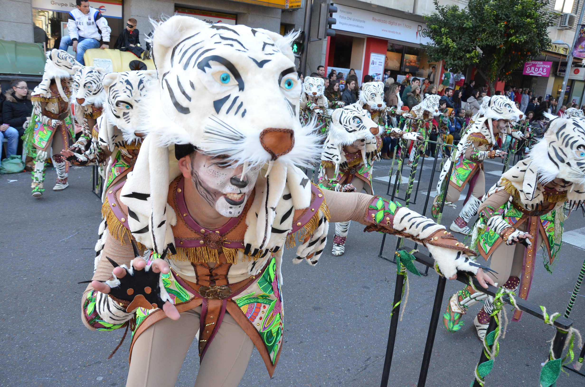 Las 40 mejores imágenes grupales del Desfile de Comparsas, parte 2