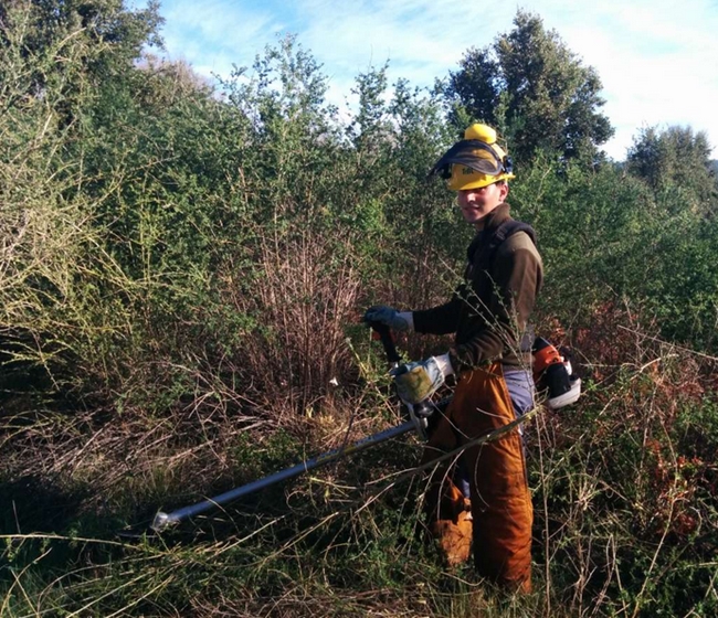 El Centro de Formación de Moraleja prepara a profesionales en desbroce forestal