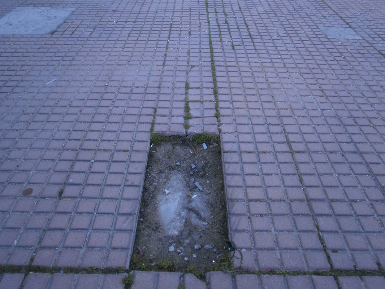 Estado actual del Estadio Nuevo Vivero de Badajoz