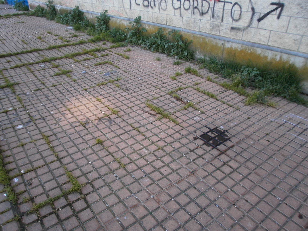 Estado actual del Estadio Nuevo Vivero de Badajoz