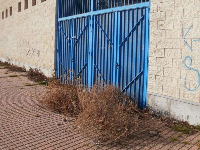 Estado actual del Estadio Nuevo Vivero de Badajoz