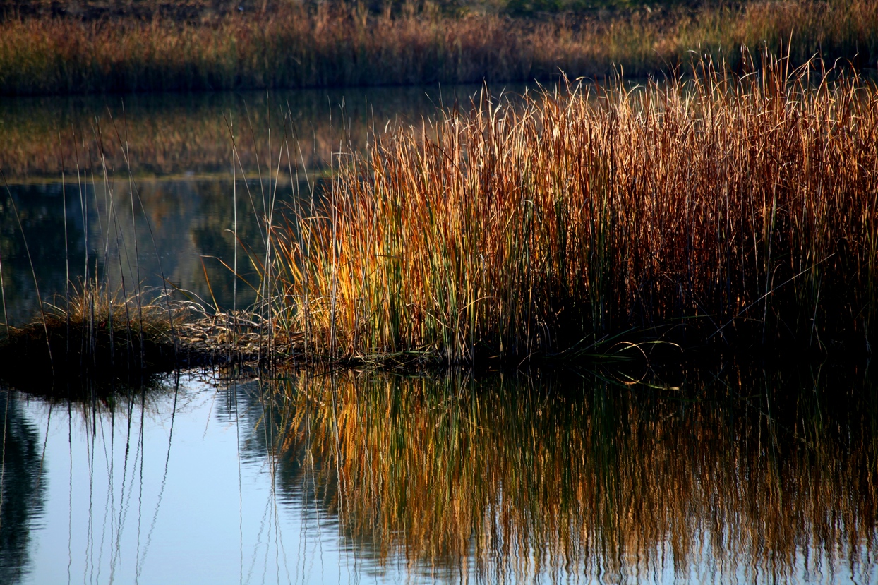 Un paseo por el Guadiana I