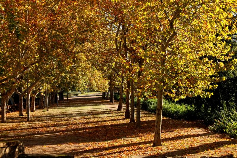 Otoño en Badajoz