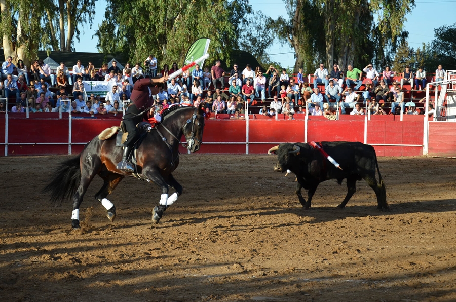 Éxito de asistencia en el Festival Taurino de Las Vaguadas