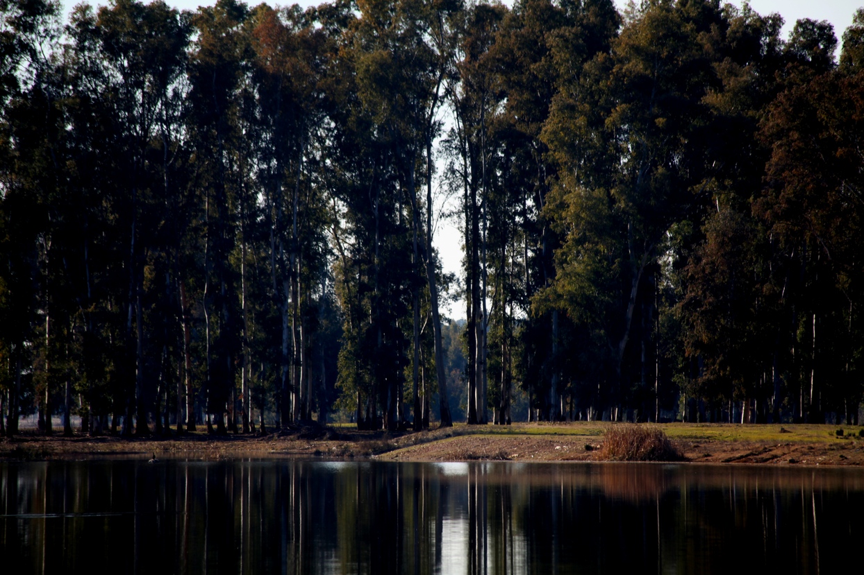 Un paseo por el Guadiana I