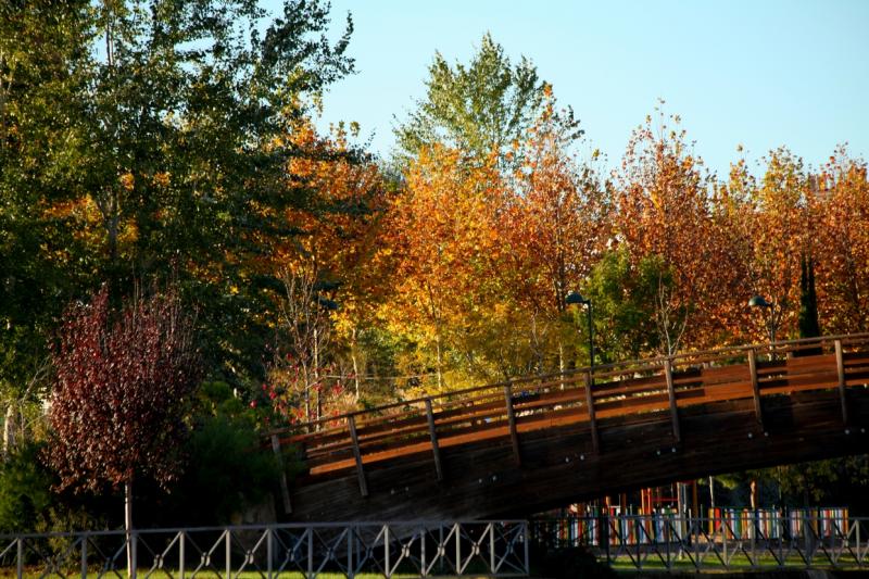 Otoño en Badajoz