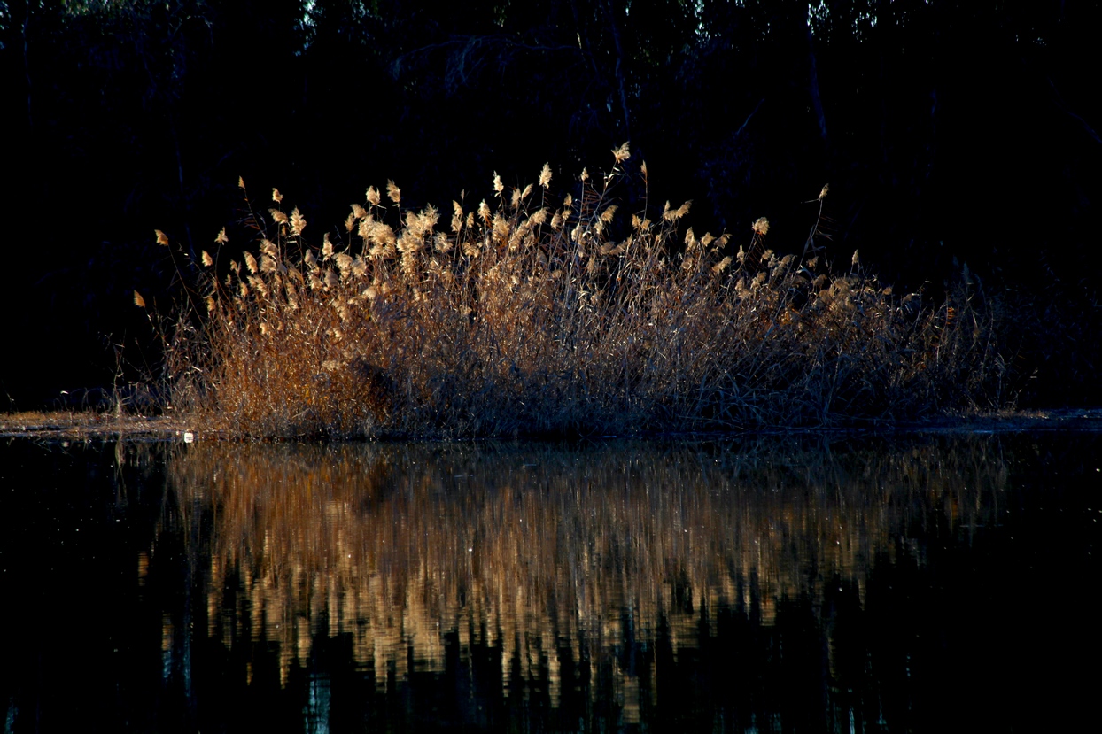 Un paseo por el Guadiana I