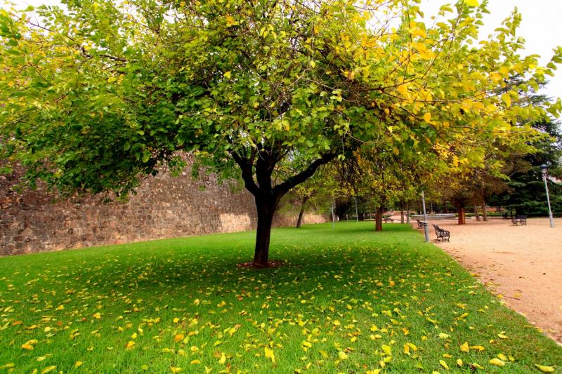 Otoño en Badajoz