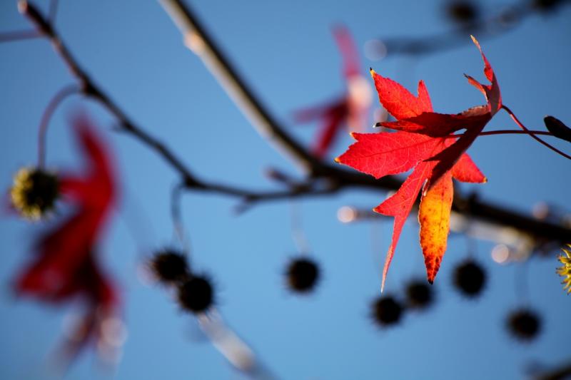Otoño en Badajoz