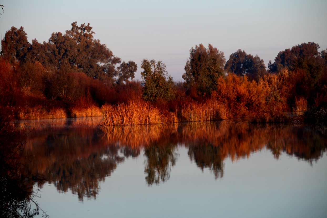 Un paseo por el Guadiana I