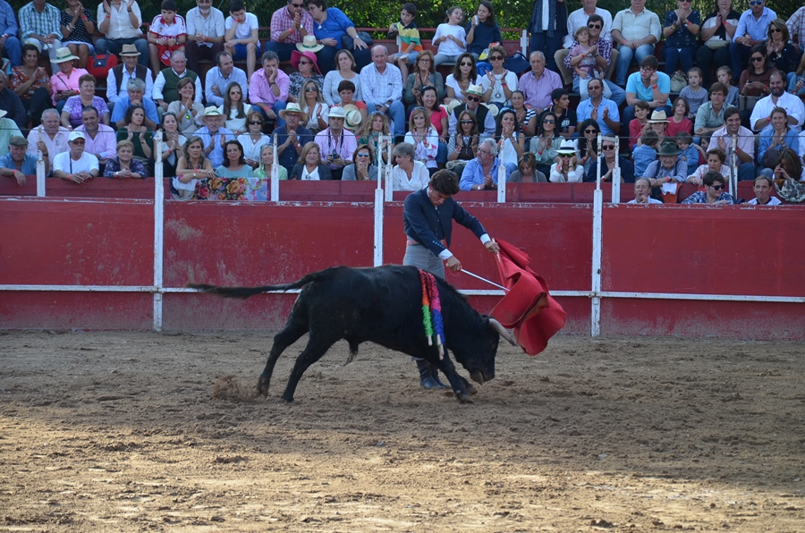 Éxito de asistencia en el Festival Taurino de Las Vaguadas